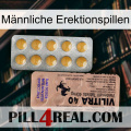 Männliche Erektionspillen 41